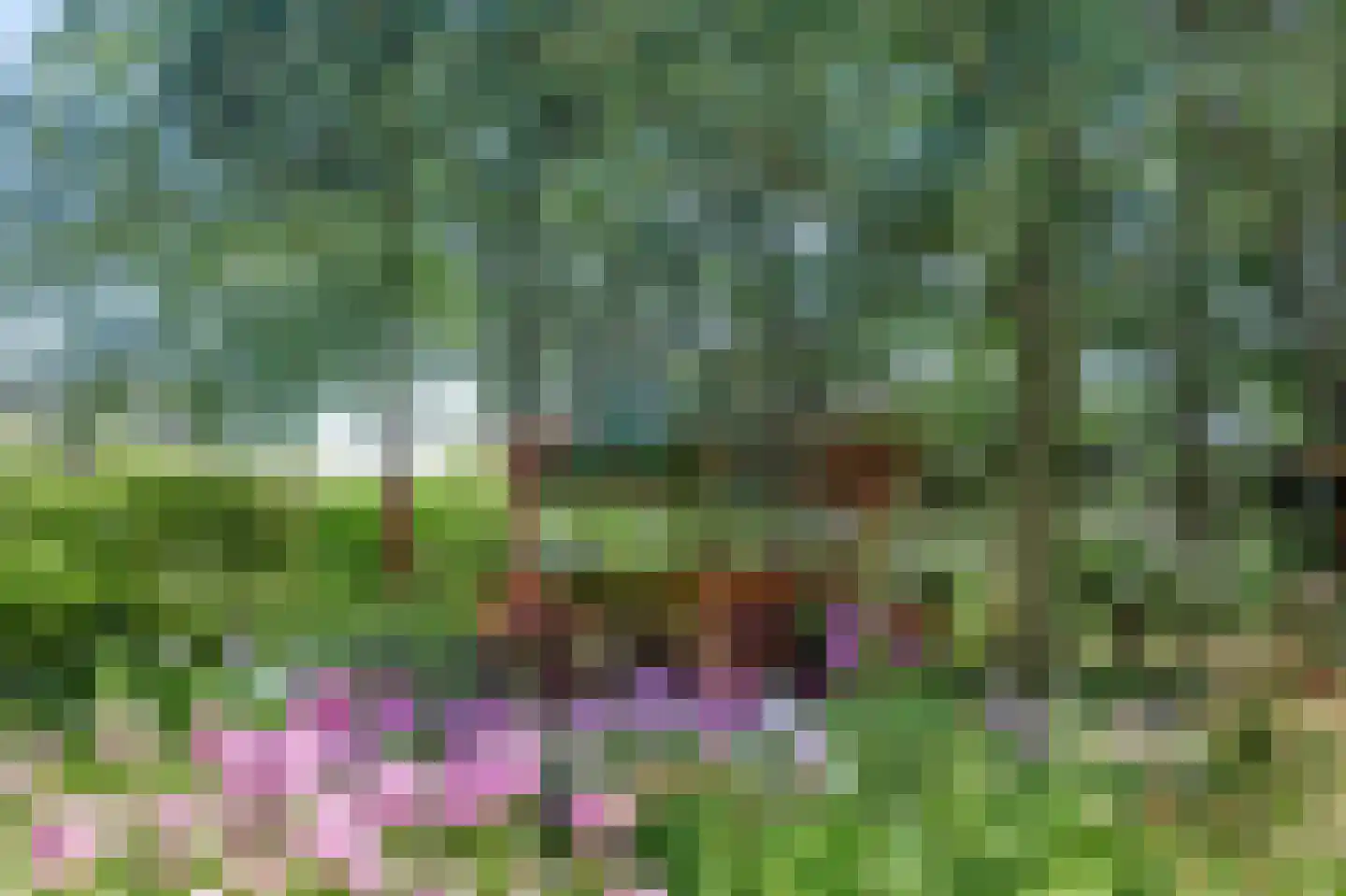 Slingerlaantje 10 Dalfsen thumbnail 62