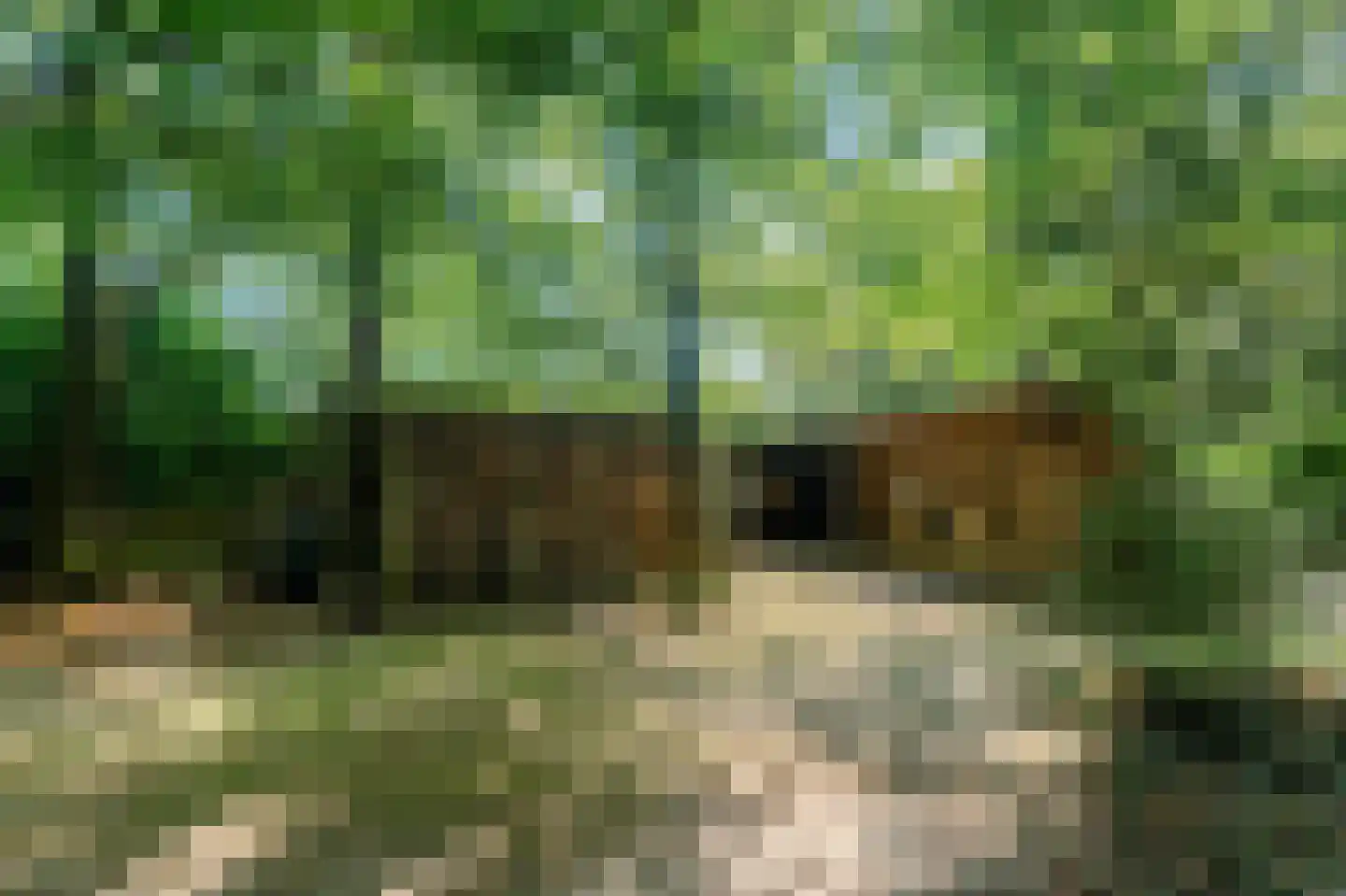 Slingerlaantje 10 Dalfsen thumbnail 65