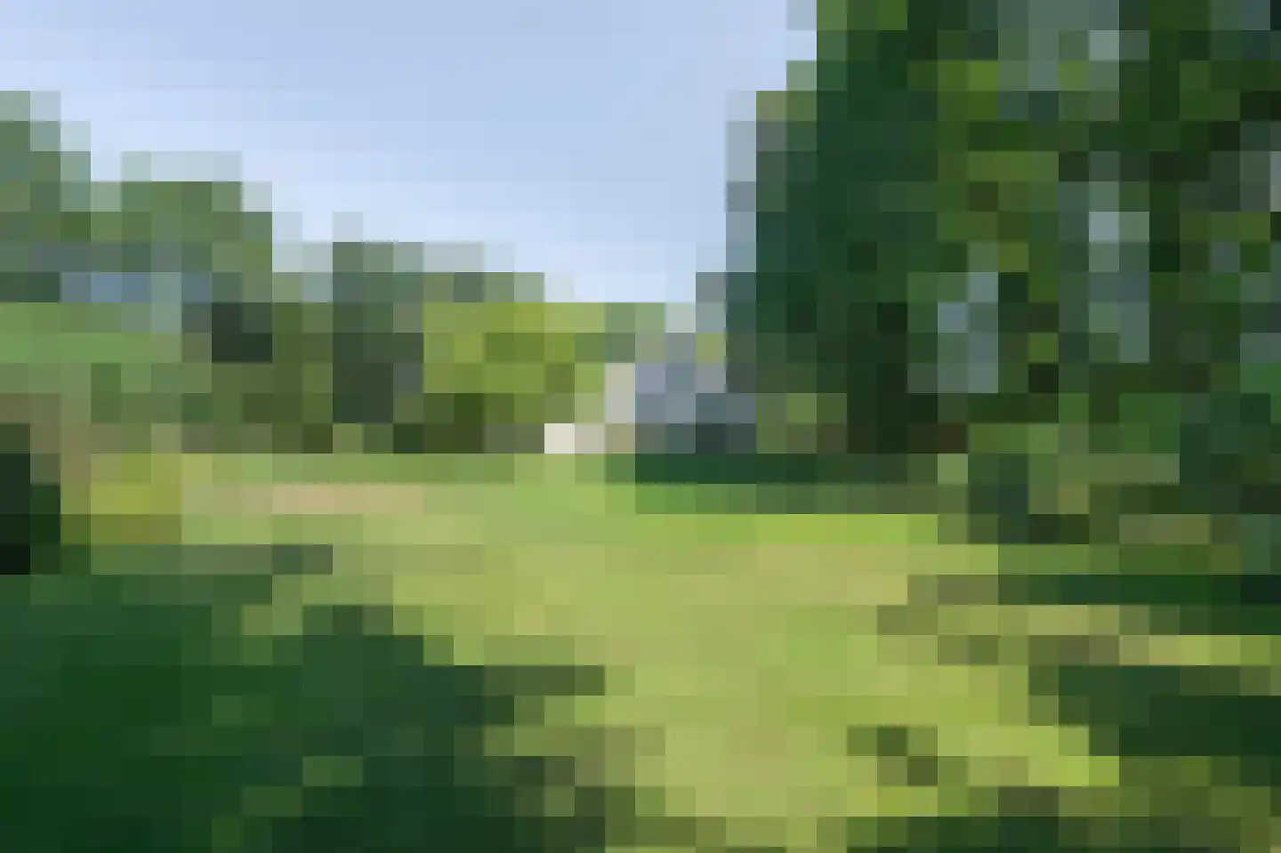 Slingerlaantje 10 Dalfsen thumbnail 67