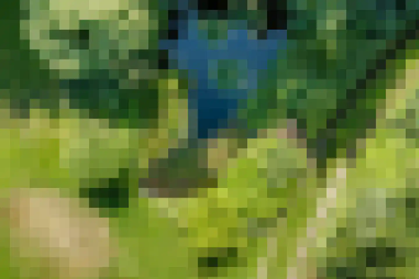 Slingerlaantje 10 Dalfsen thumbnail 69