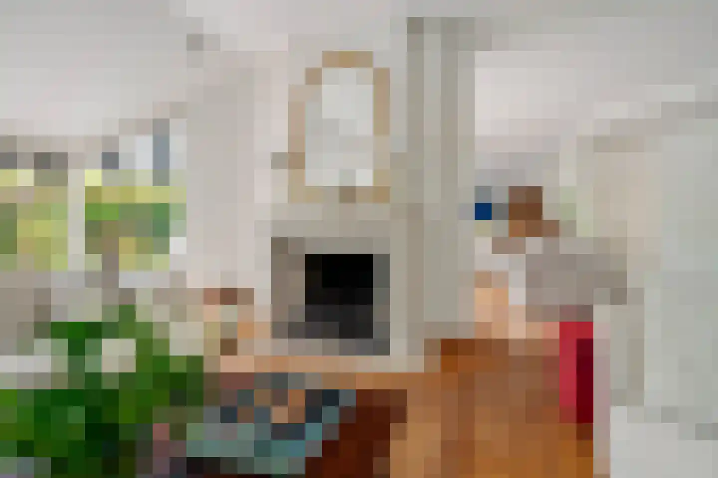 Slingerlaantje 14 Dalfsen thumbnail 22