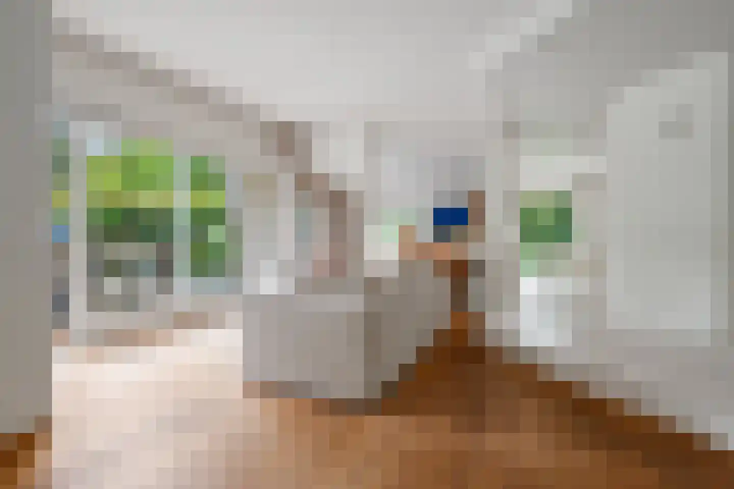 Slingerlaantje 14 Dalfsen thumbnail 25