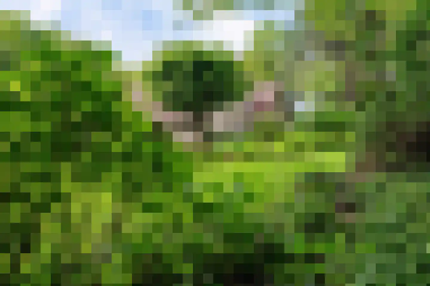 Slingerlaantje 14 Dalfsen thumbnail 51