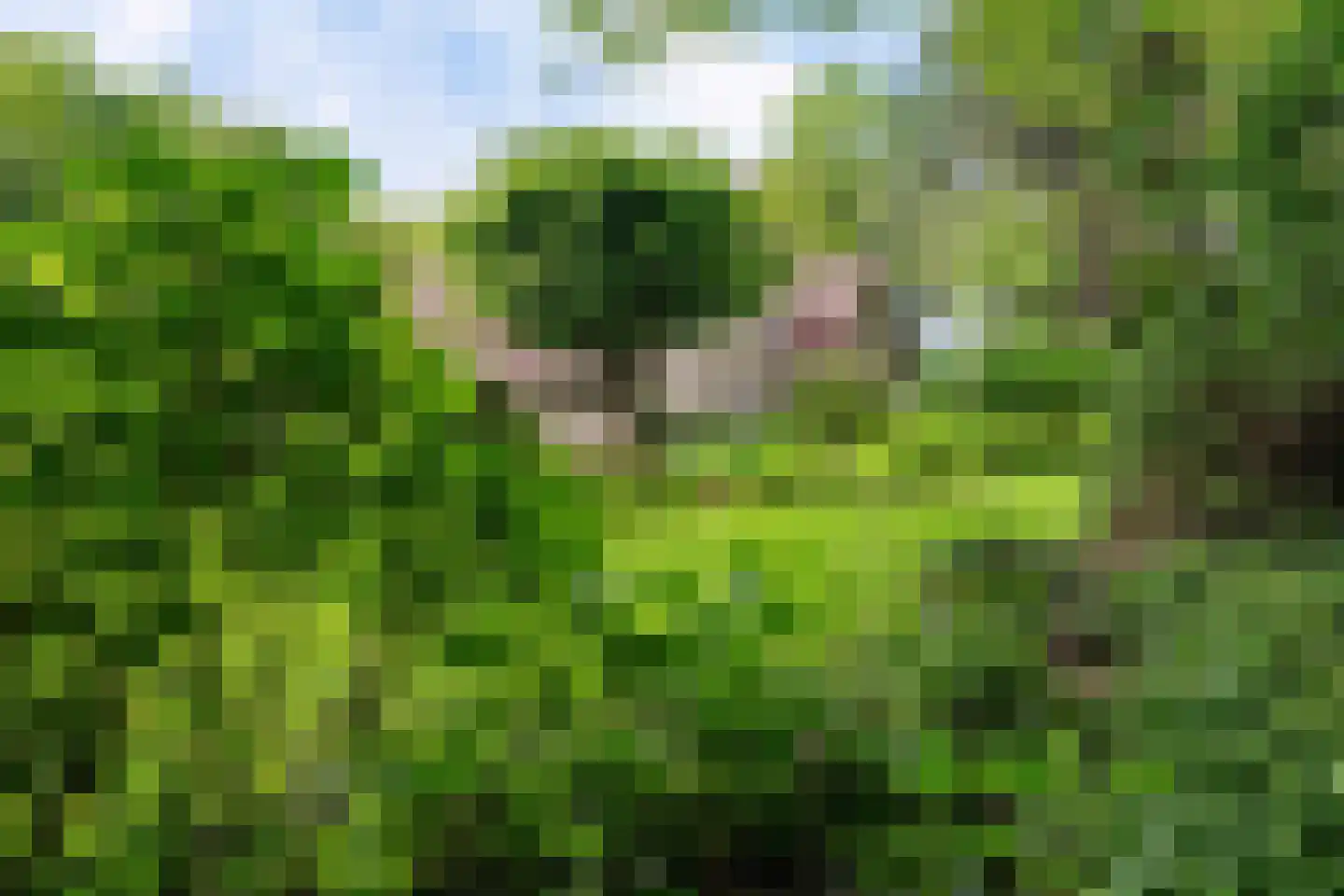 Slingerlaantje 14 Dalfsen thumbnail 51