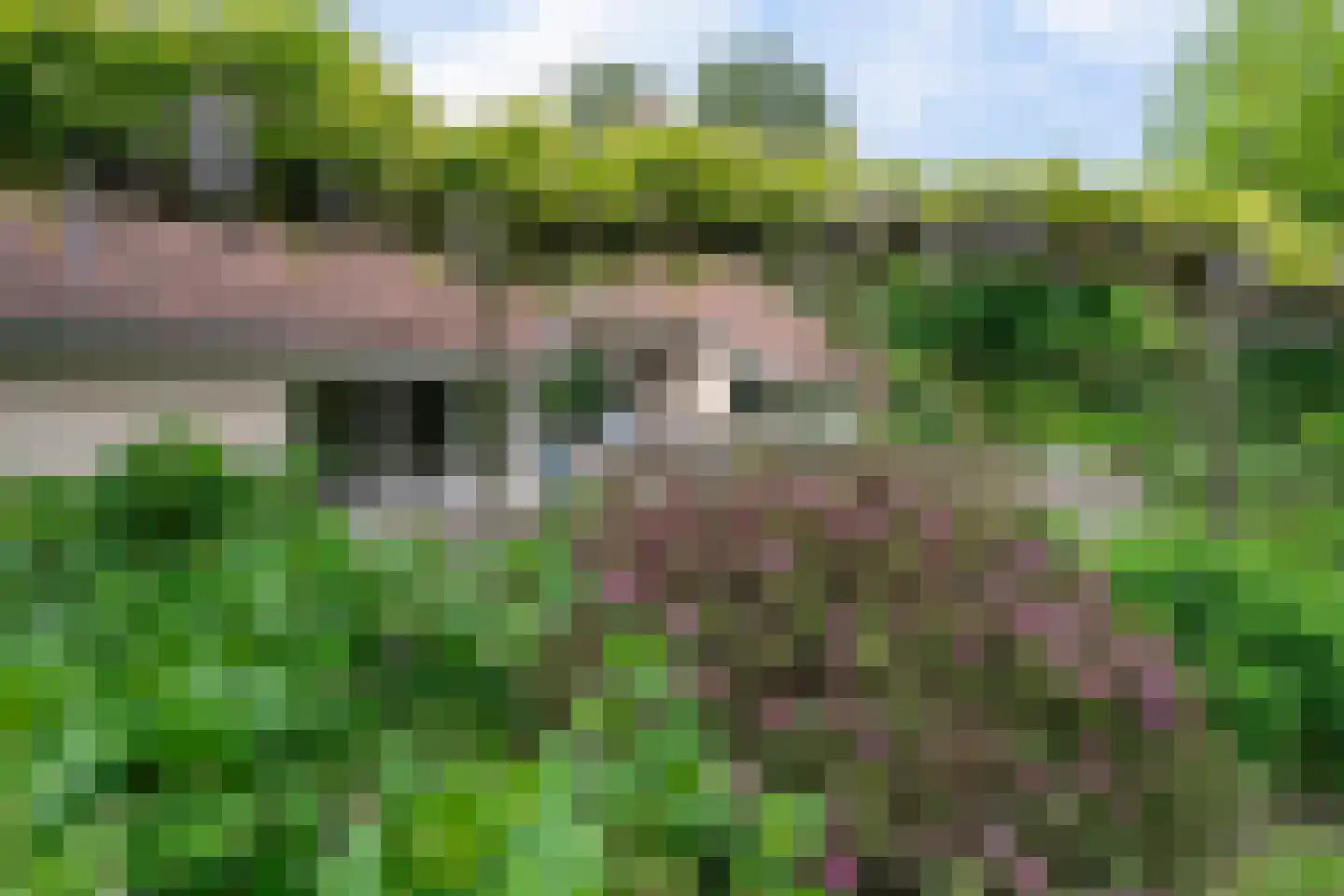 Slingerlaantje 14 Dalfsen thumbnail 55