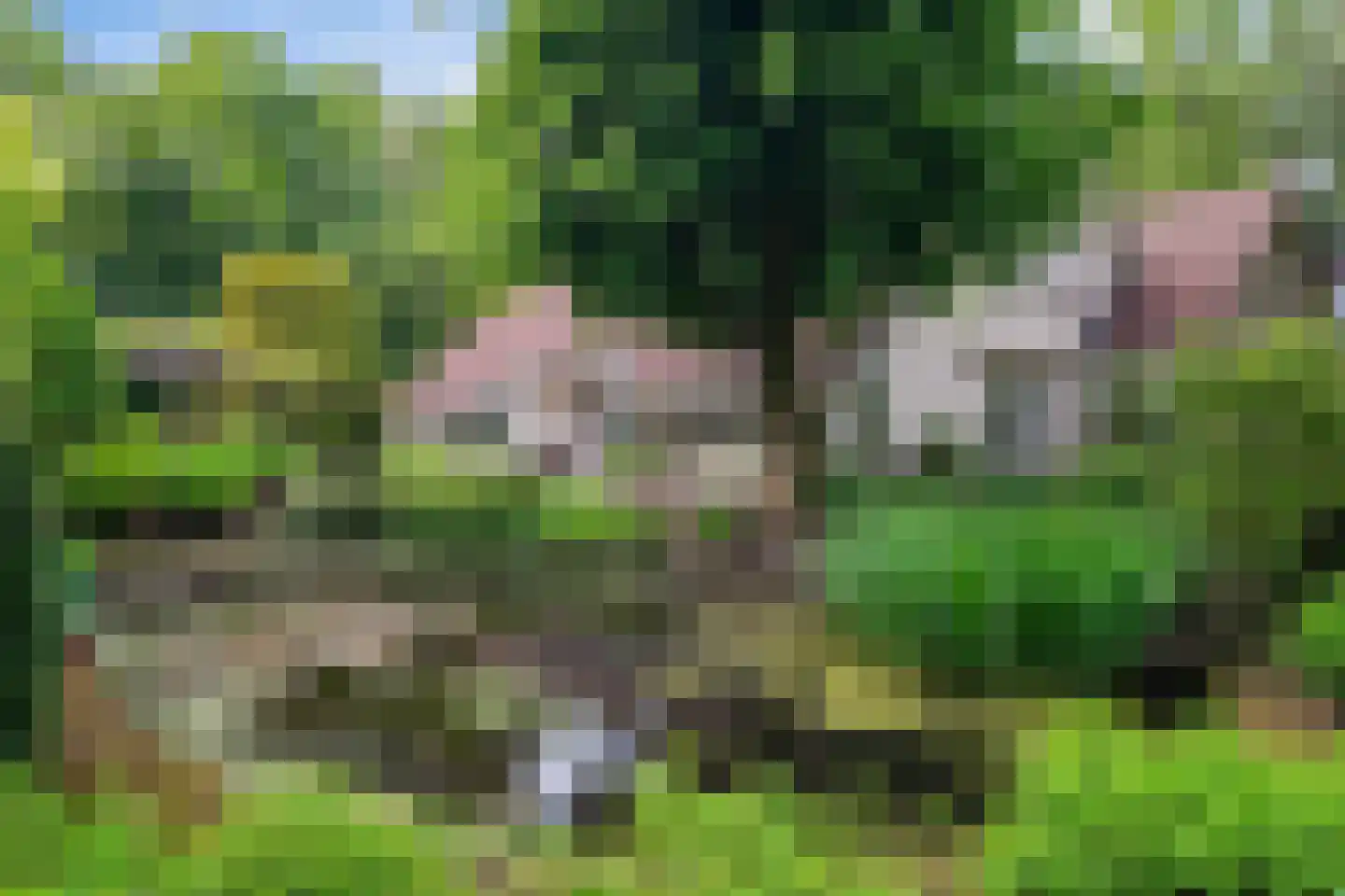 Slingerlaantje 14 Dalfsen thumbnail 56