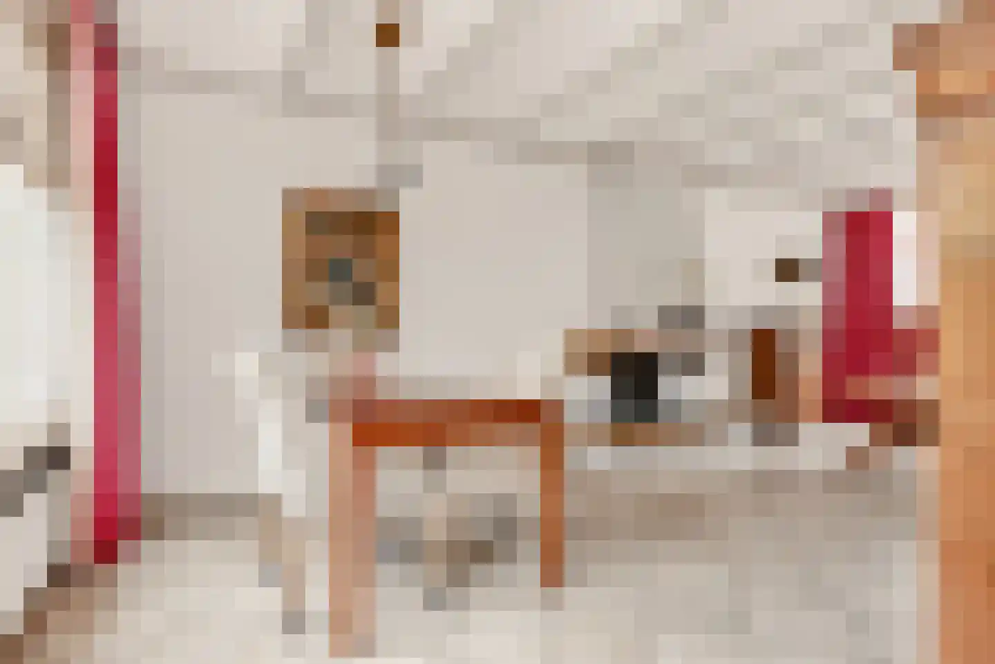 Slingerlandstraat 21 Meerkerk thumbnail 12
