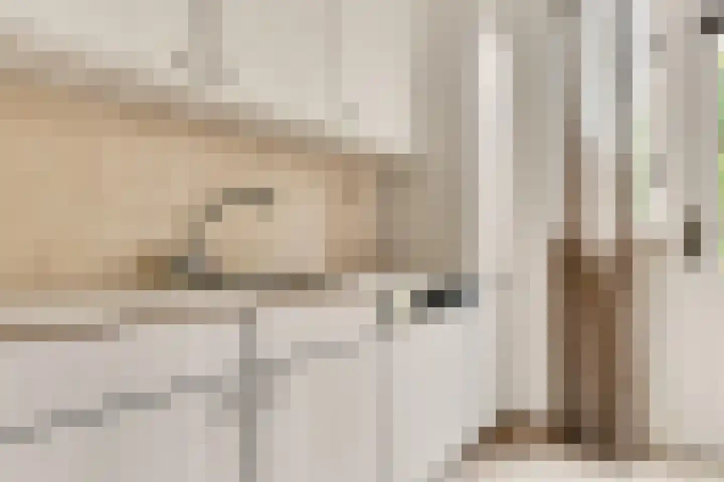 Slingerlandstraat 21 Meerkerk thumbnail 15
