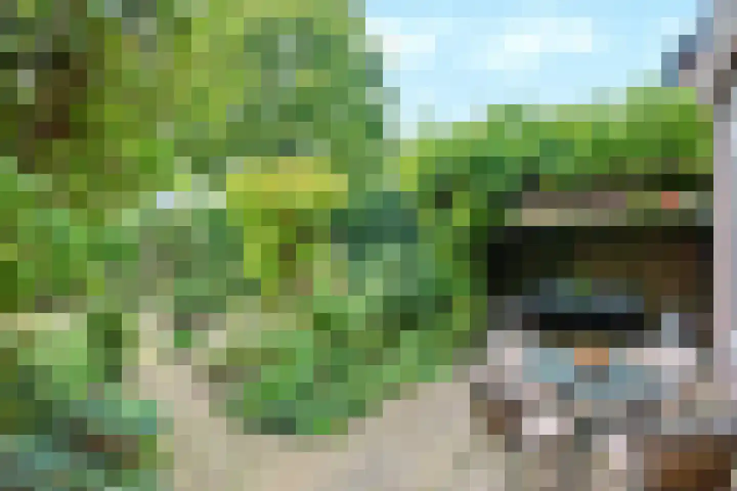 Slingerlandstraat 21 Meerkerk thumbnail 18
