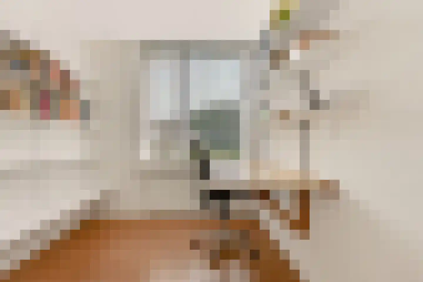 Slingerlandstraat 21 Meerkerk thumbnail 30