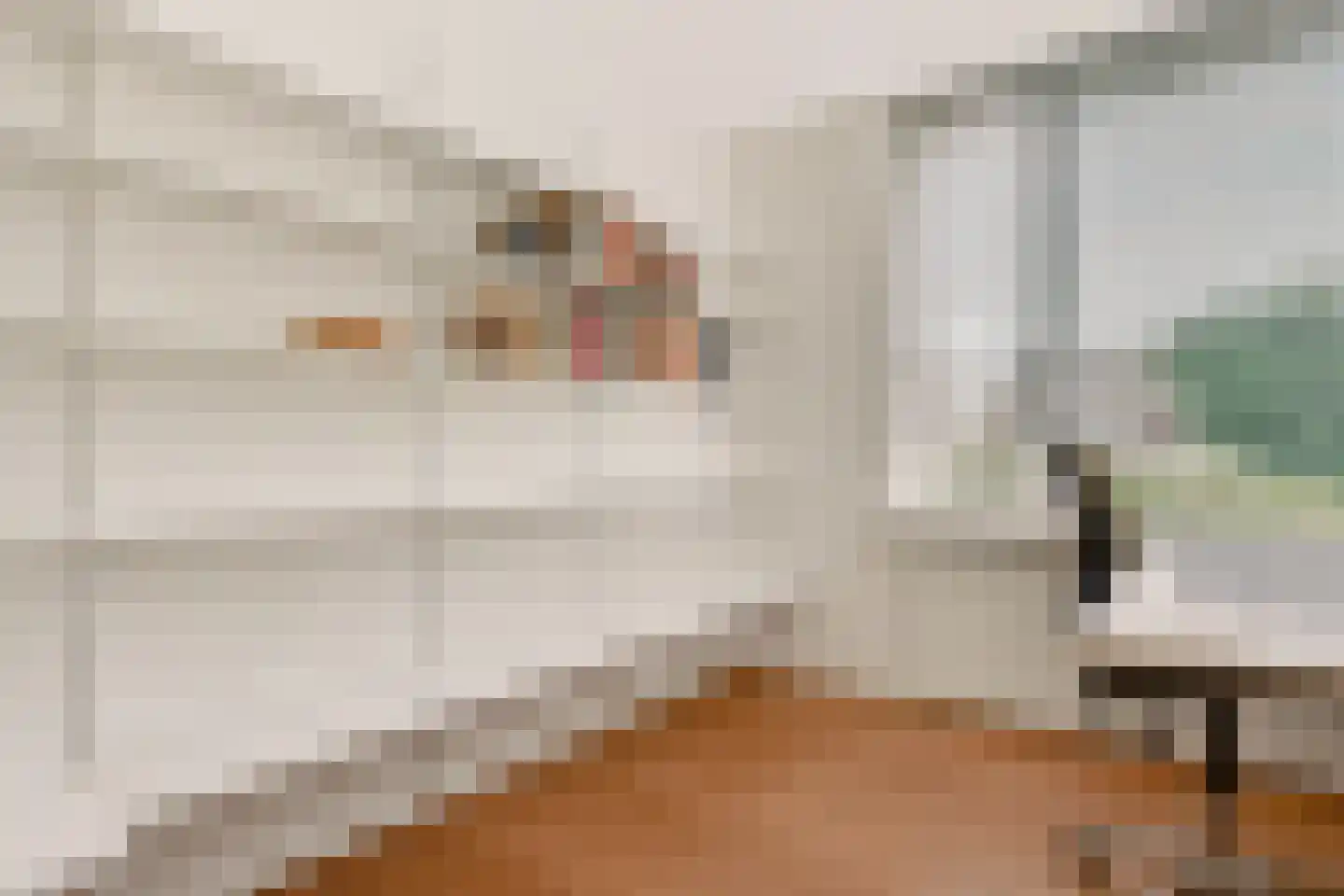 Slingerlandstraat 21 Meerkerk thumbnail 31