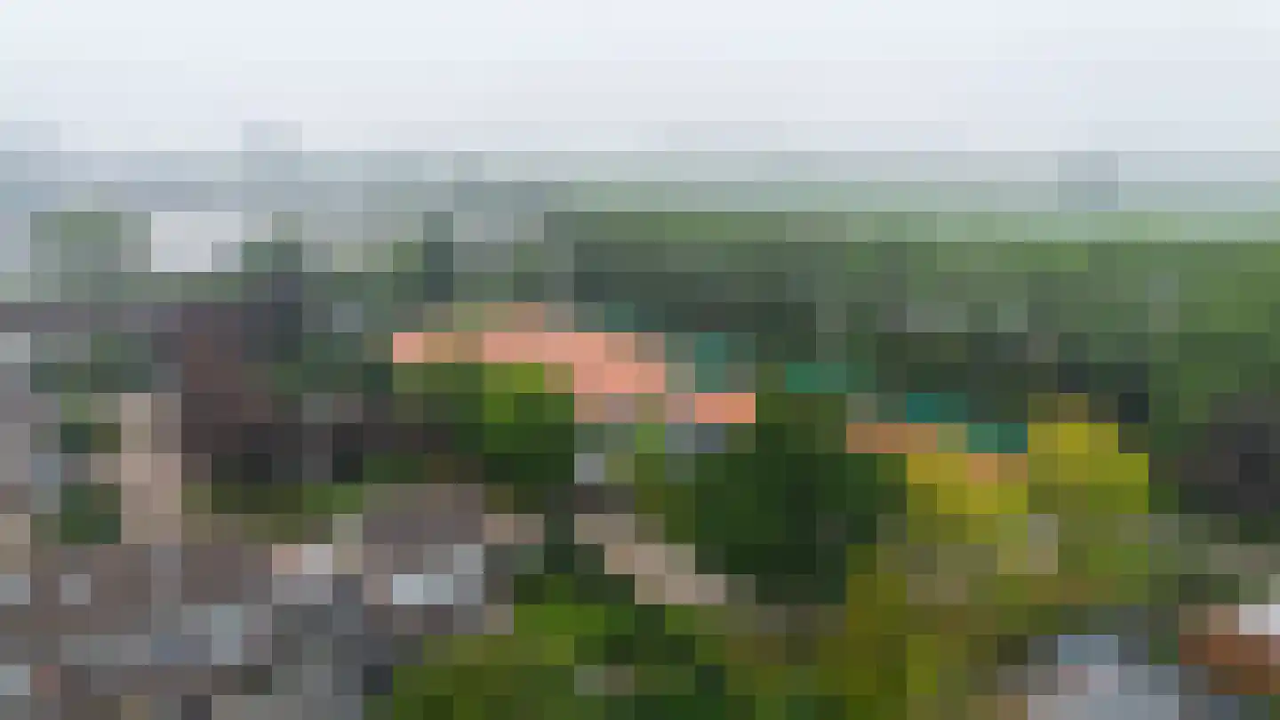 Slingerlandstraat 21 Meerkerk thumbnail 49
