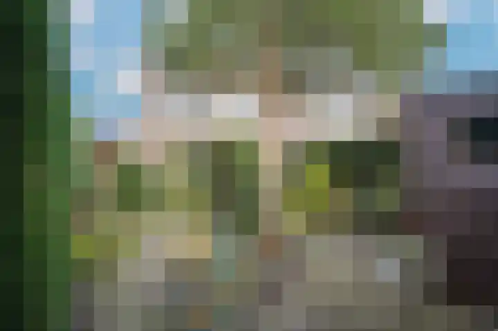 Slingerlandstraat 25 Meerkerk thumbnail 30