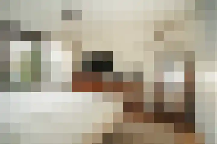 Slingerlandstraat 25 Meerkerk thumbnail 4