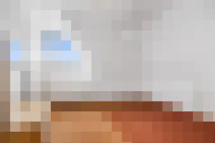 Slingerrak 29 Sneek thumbnail 32
