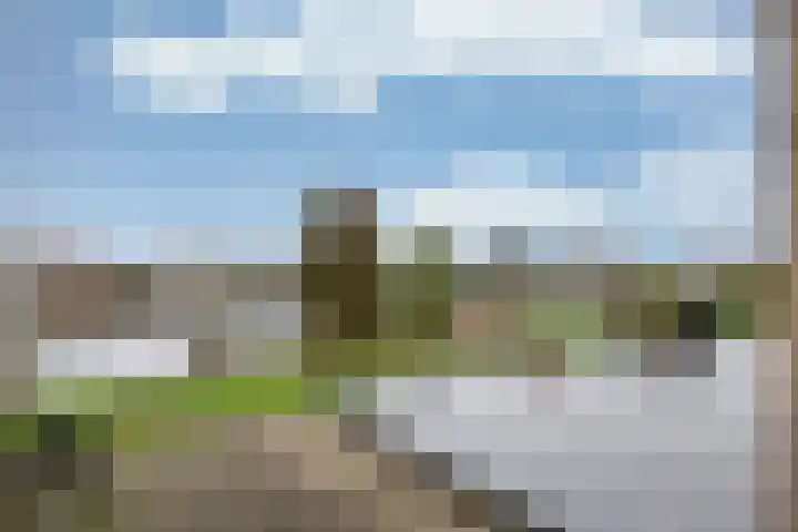 Slingerrak 29 Sneek thumbnail 44