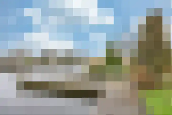 Slingerrak 29 Sneek thumbnail 45