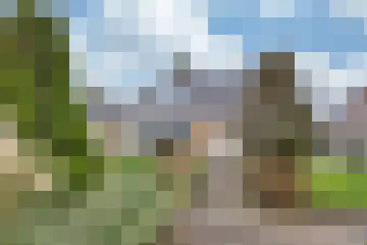 Slingerrak 29 Sneek thumbnail 46