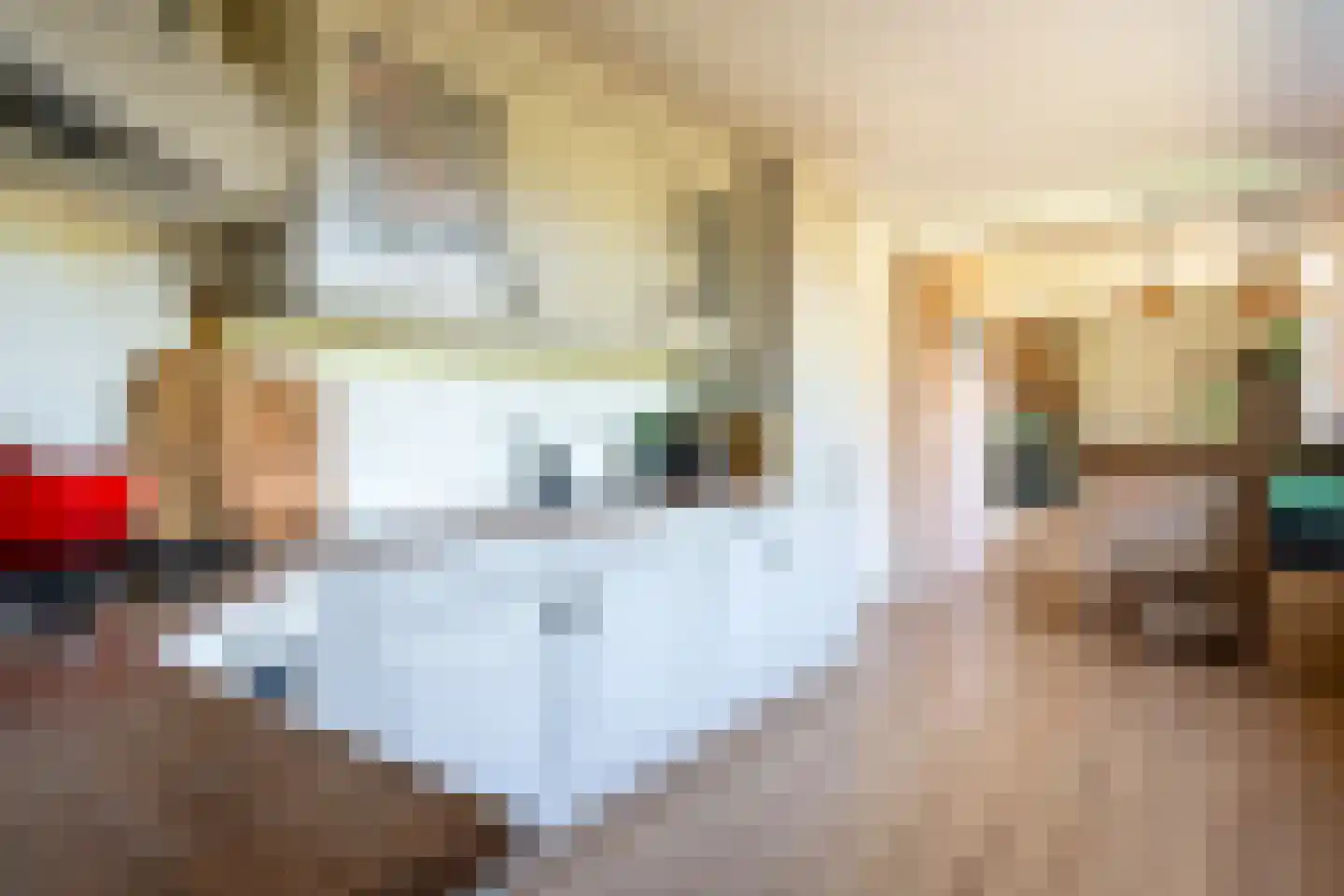Slingerstraat 21 Ossendrecht thumbnail 12