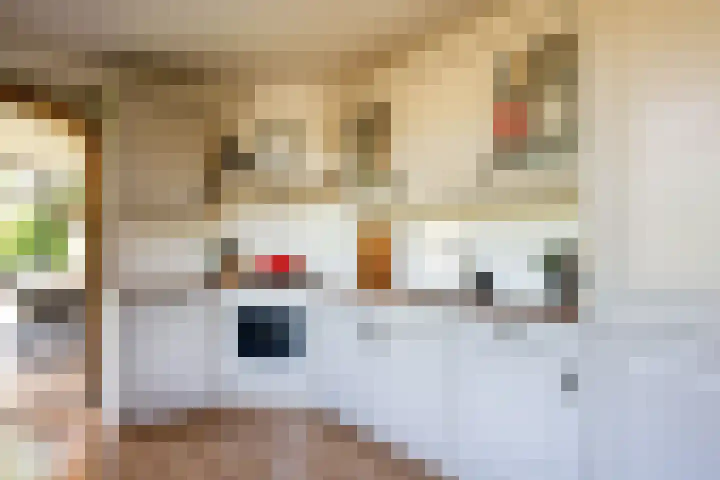 Slingerstraat 21 Ossendrecht thumbnail 13