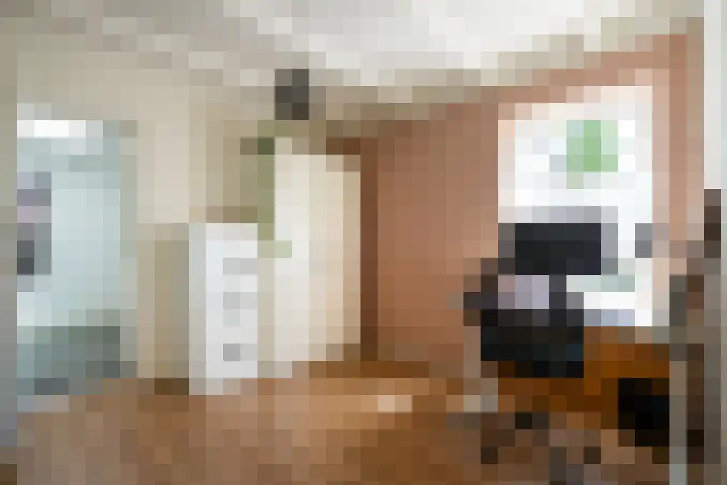Slingerstraat 21 Ossendrecht thumbnail 17