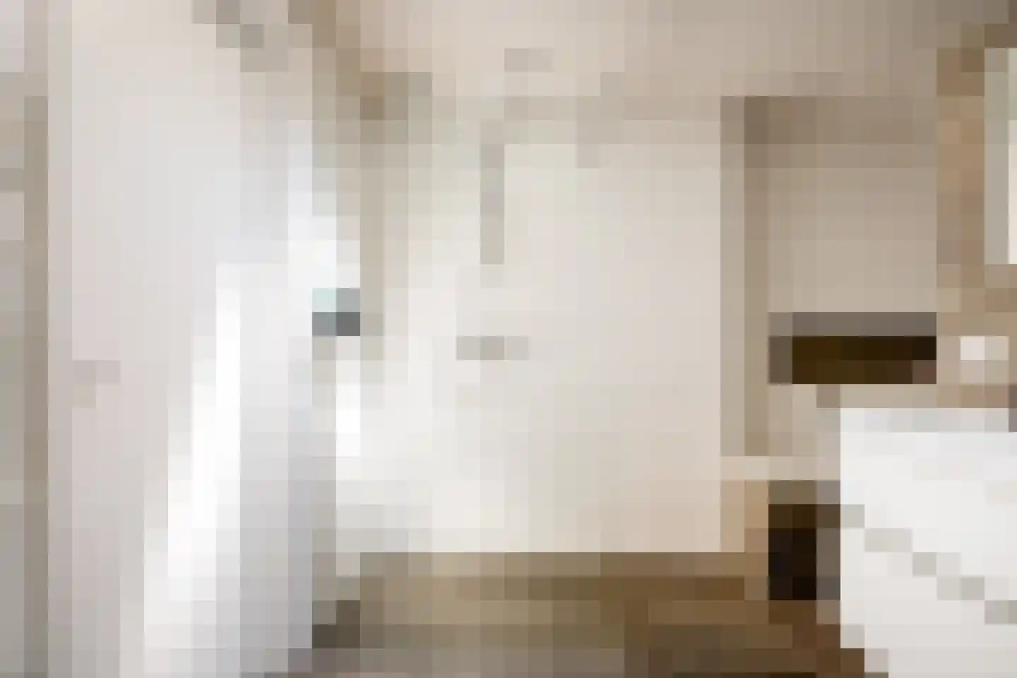 Slingerstraat 21 Ossendrecht thumbnail 18