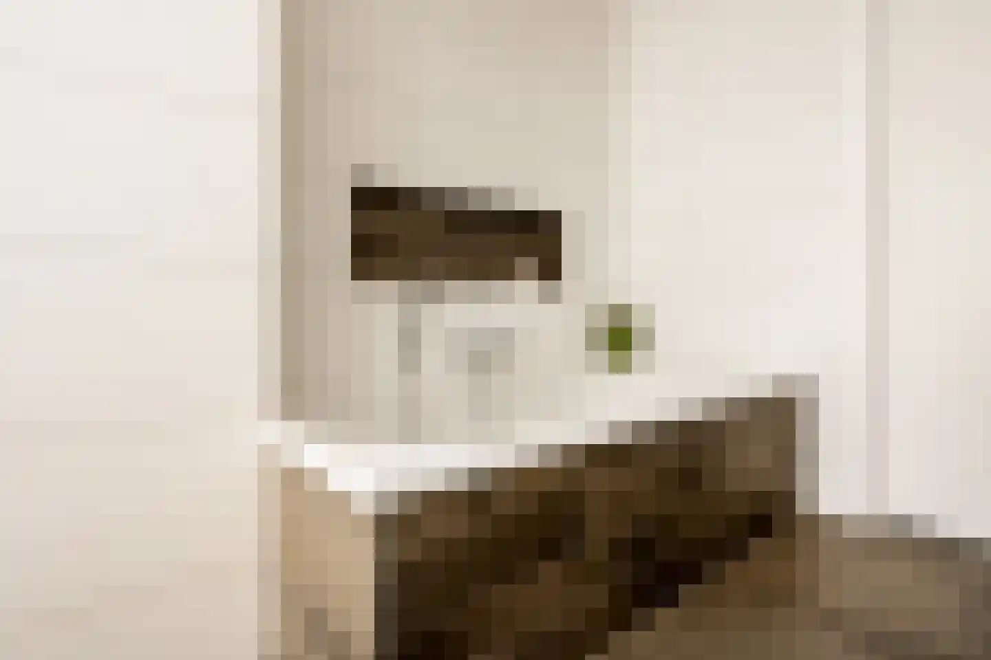 Slingerstraat 21 Ossendrecht thumbnail 20