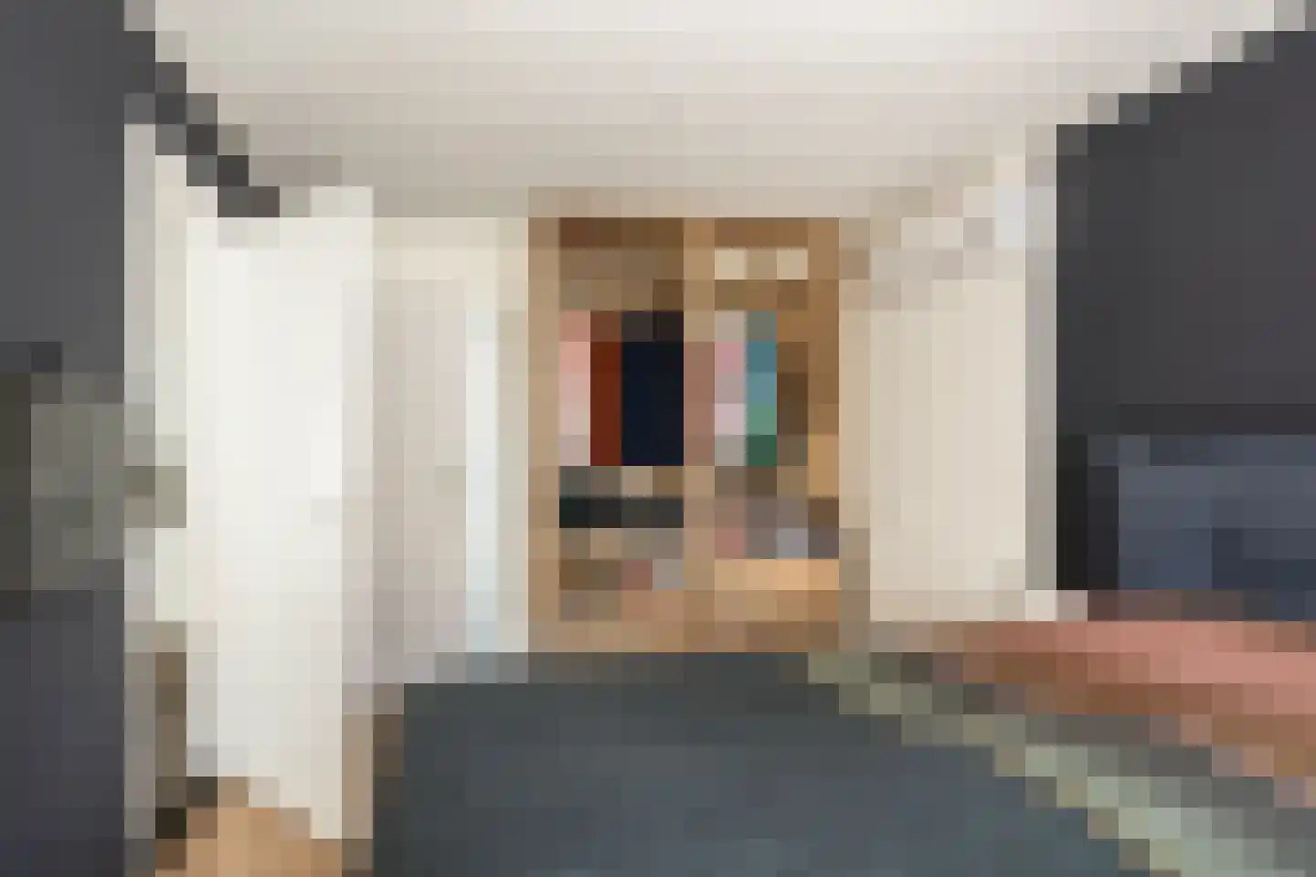 Slingerstraat 21 Ossendrecht thumbnail 23
