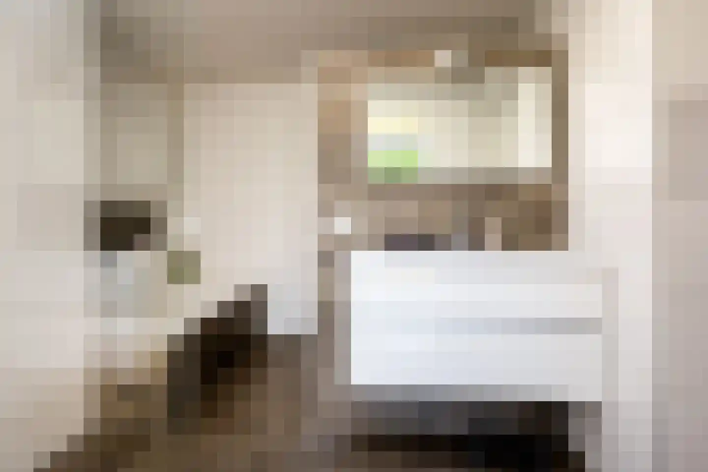 Slingerstraat 21 Ossendrecht thumbnail 5