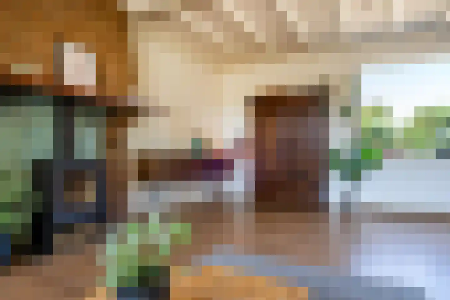 Slingerstraat 21 Ossendrecht thumbnail 8