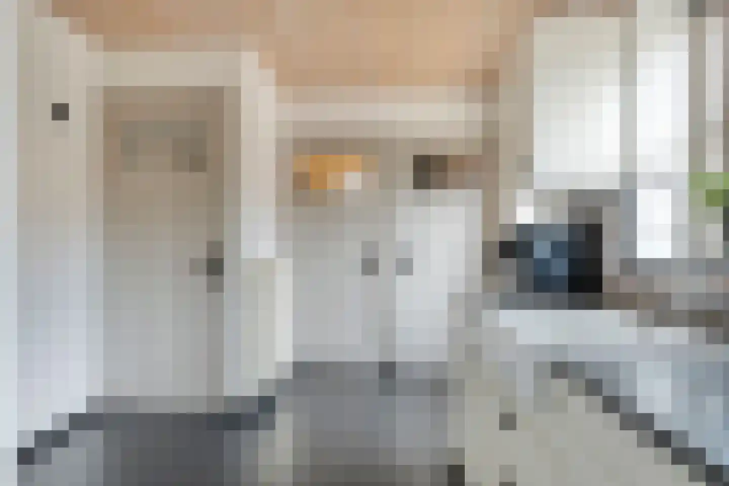 Slingerstraat 25 Ossendrecht thumbnail 12