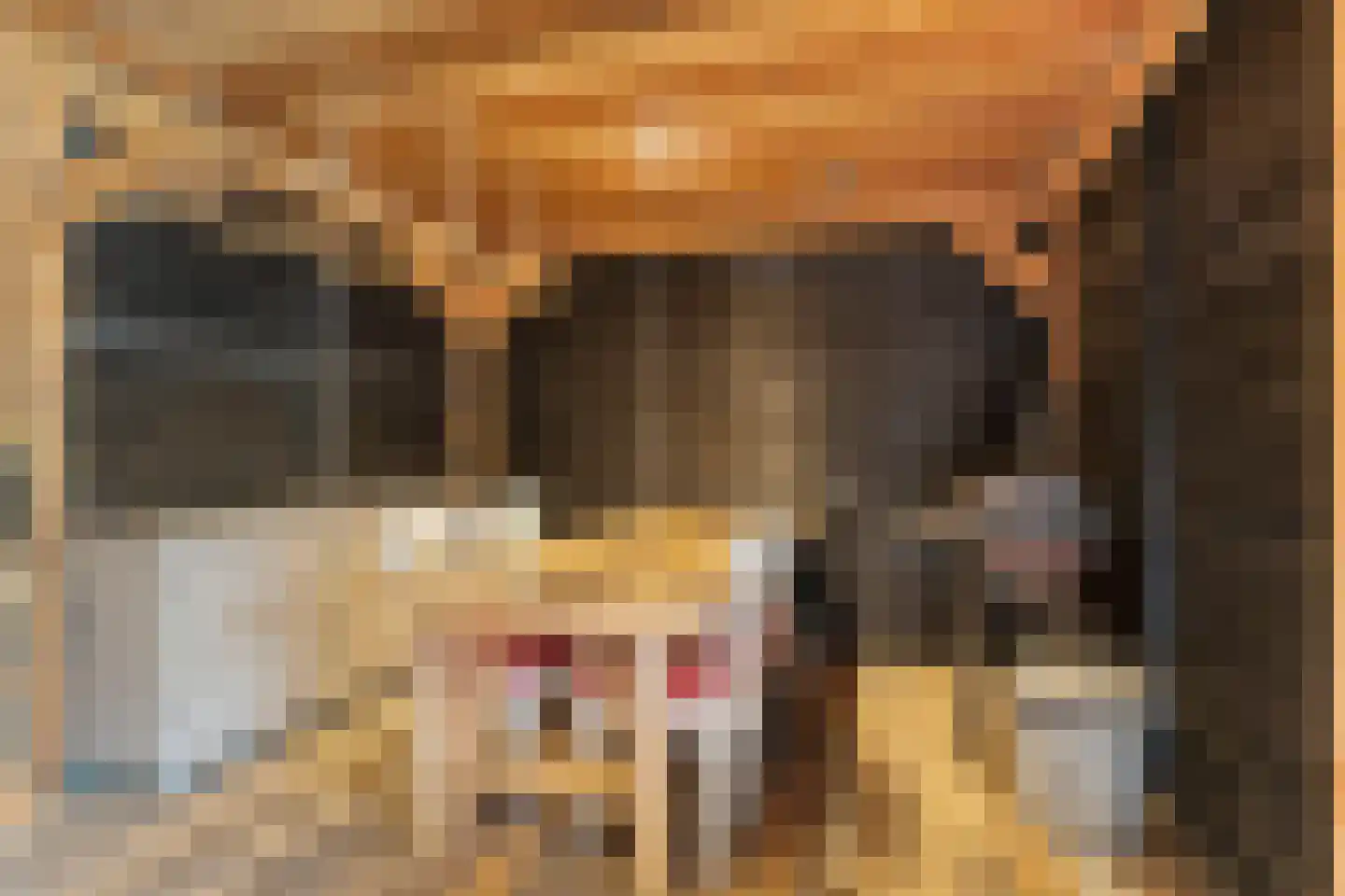 Slingerstraat 25 Ossendrecht thumbnail 33