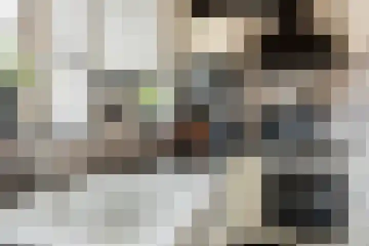 Slingerstraat 25 Ossendrecht thumbnail 5