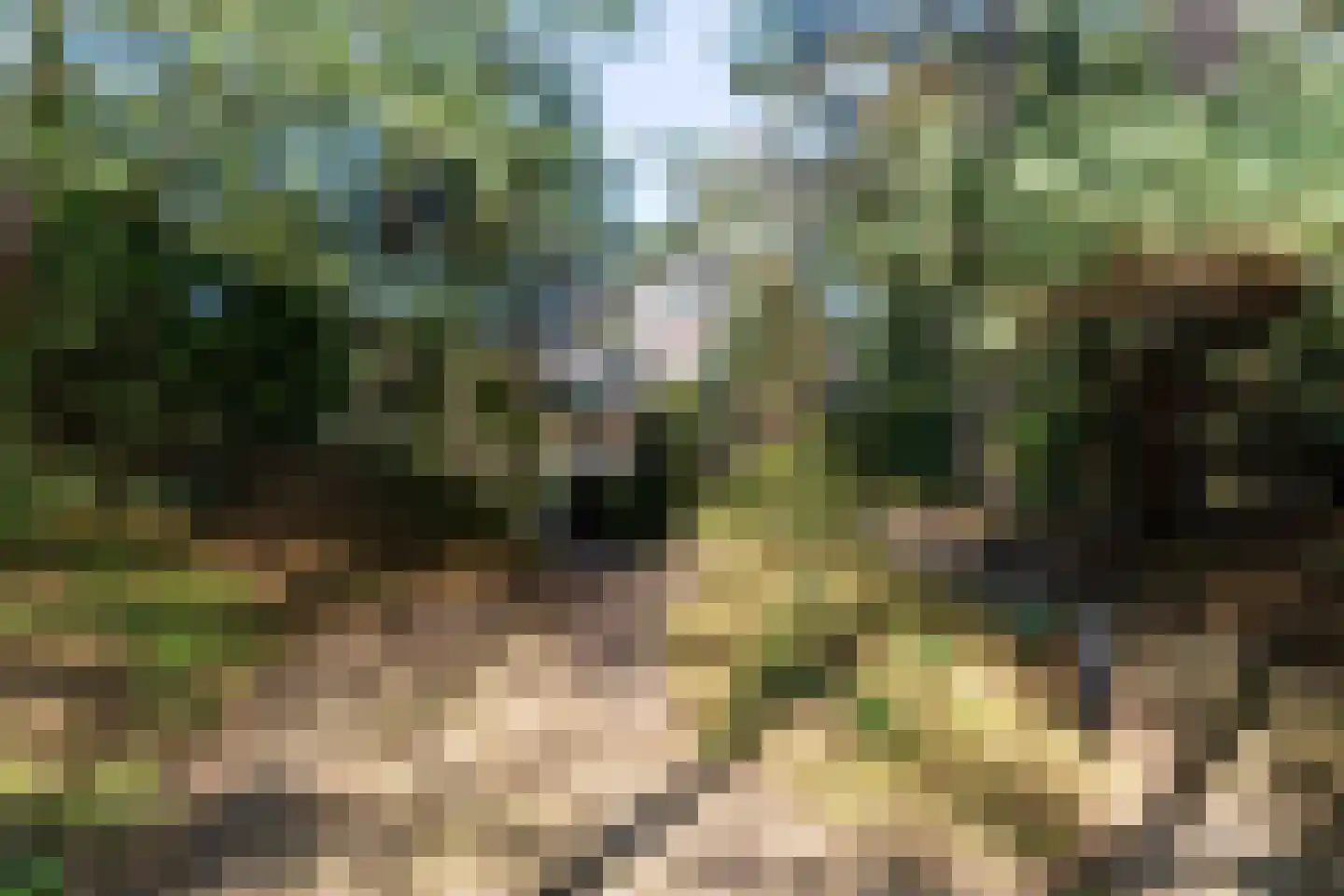 Slingerweg 11 Wassenaar thumbnail 5