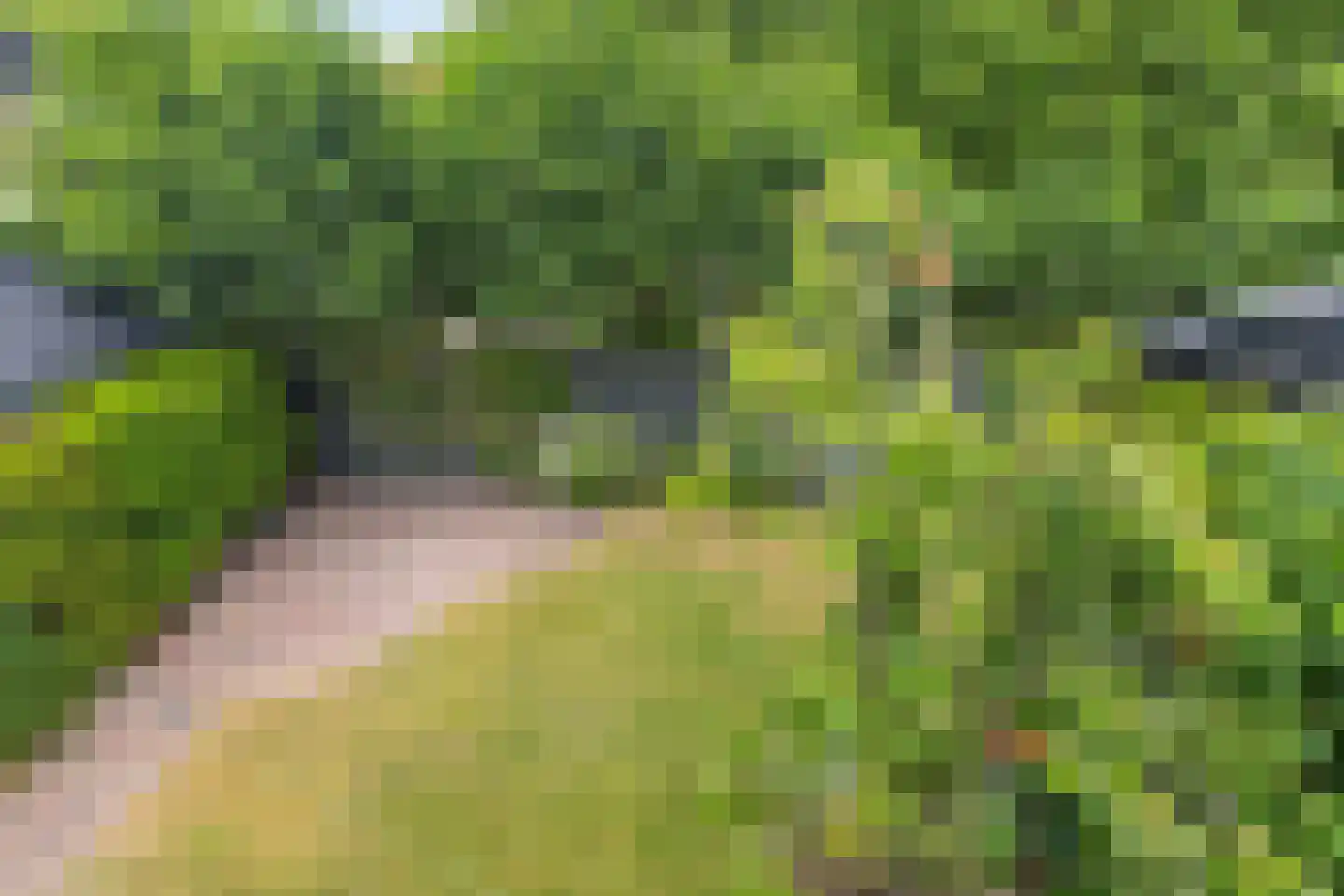 Slingerweg 13 Hippolytushoef thumbnail 28