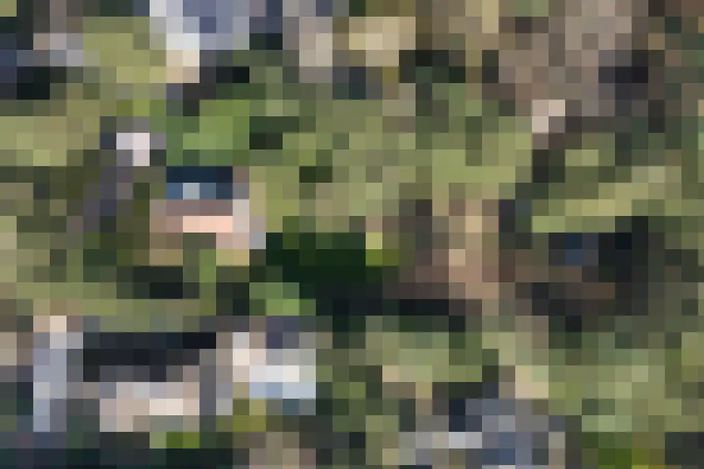 Slingerweg 14 Wassenaar thumbnail 23