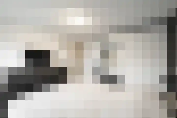 Slingerweg 33 Hippolytushoef thumbnail 14