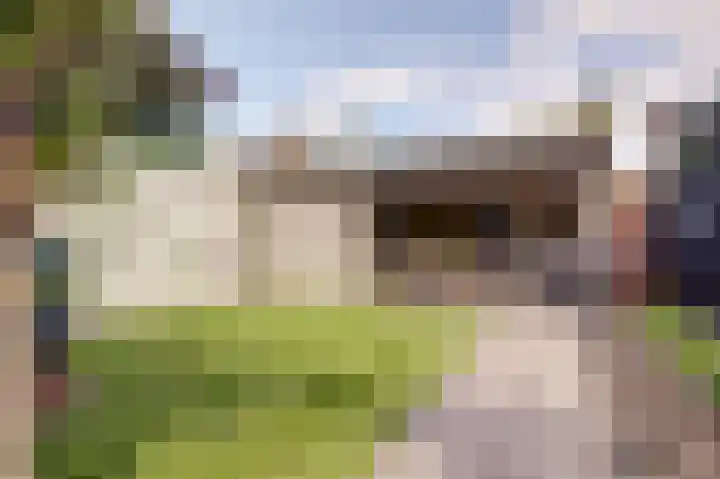 Slingerweg 41 Hippolytushoef thumbnail 34