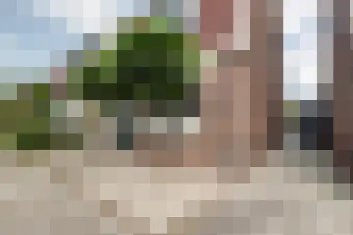 Slingerweg 41 Hippolytushoef thumbnail 38