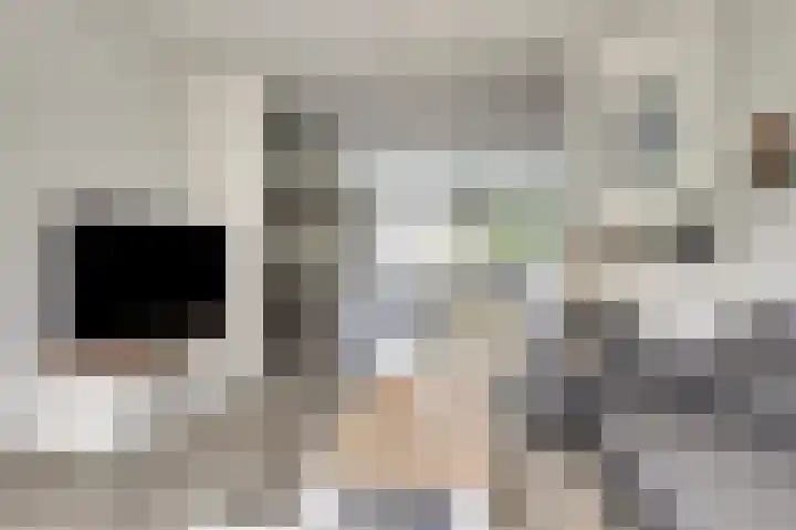 Slingerweg 41 Hippolytushoef thumbnail 9