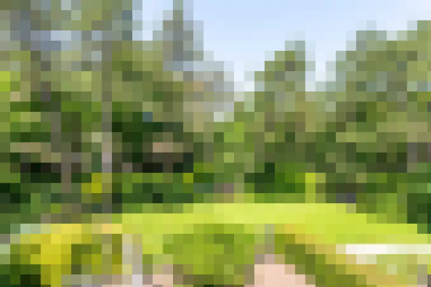 Slingerweg 6 Aerdenhout thumbnail 40