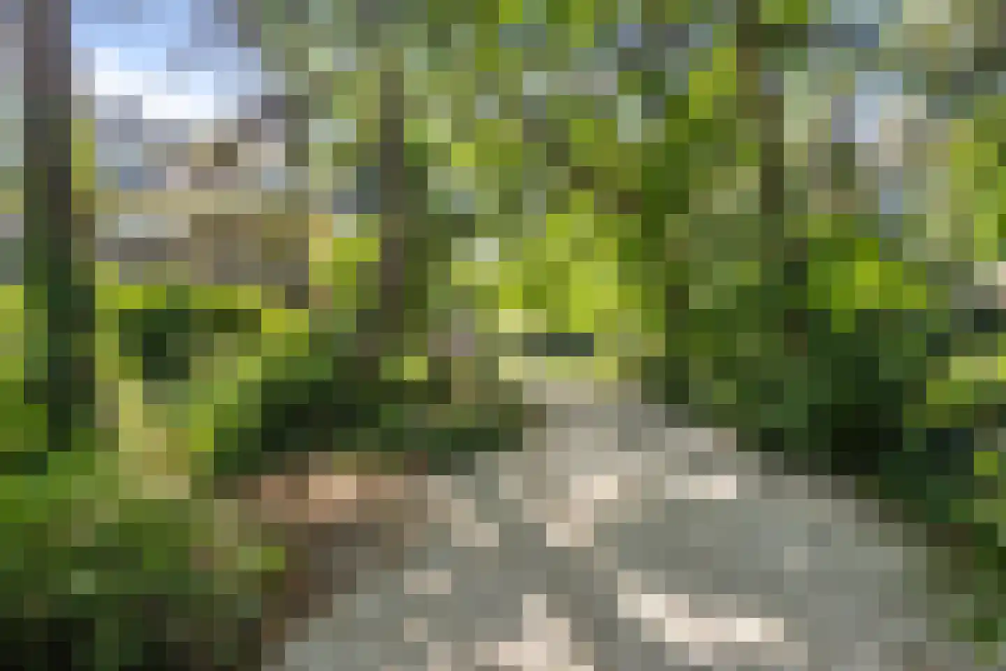 Slingerweg 6 Aerdenhout thumbnail 75
