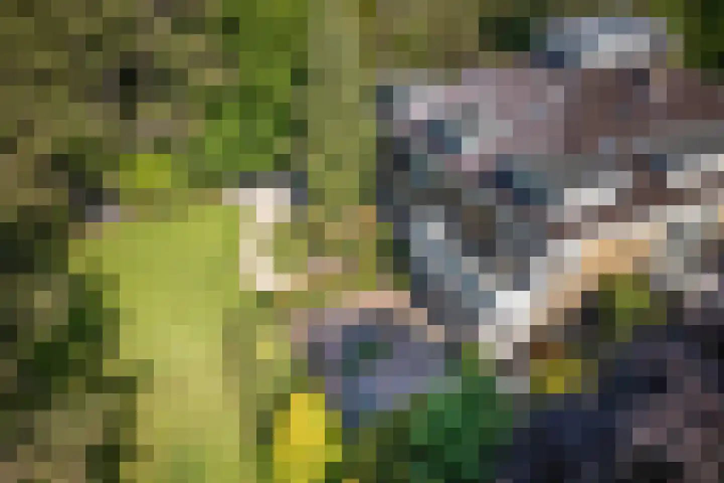 Slingerweg 6 Aerdenhout thumbnail 81