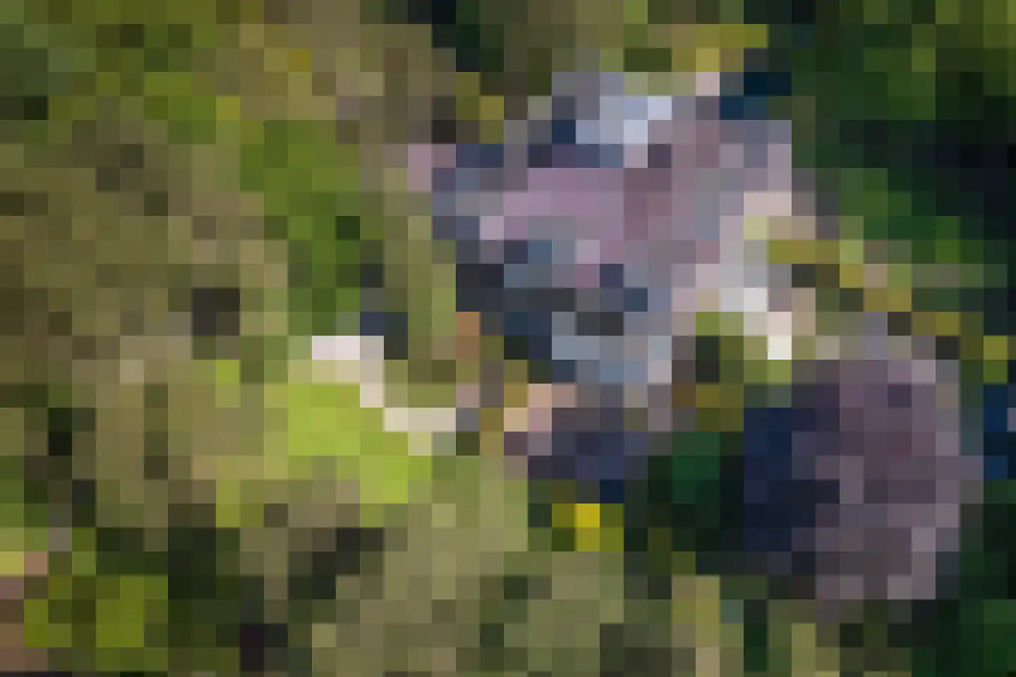 Slingerweg 6 Aerdenhout thumbnail 82