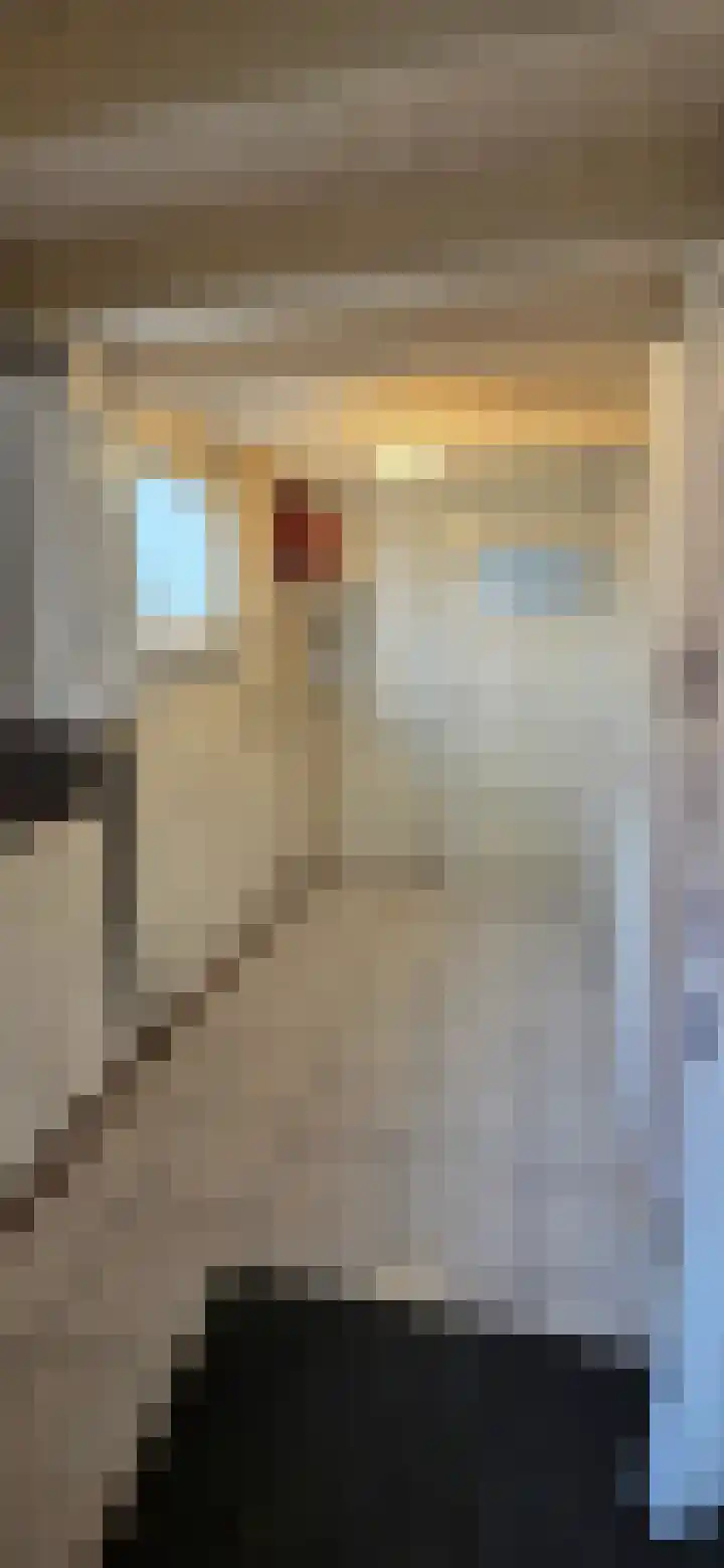 Slingerweg 65 Hippolytushoef thumbnail 8