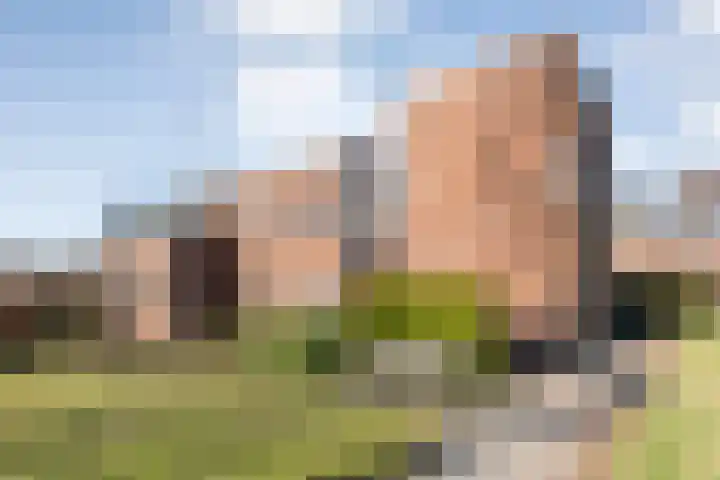 Slingerweg 7 ap12 Den Ham thumbnail 9
