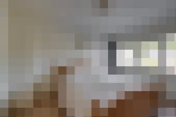Slingestraat 4 Borculo thumbnail 11