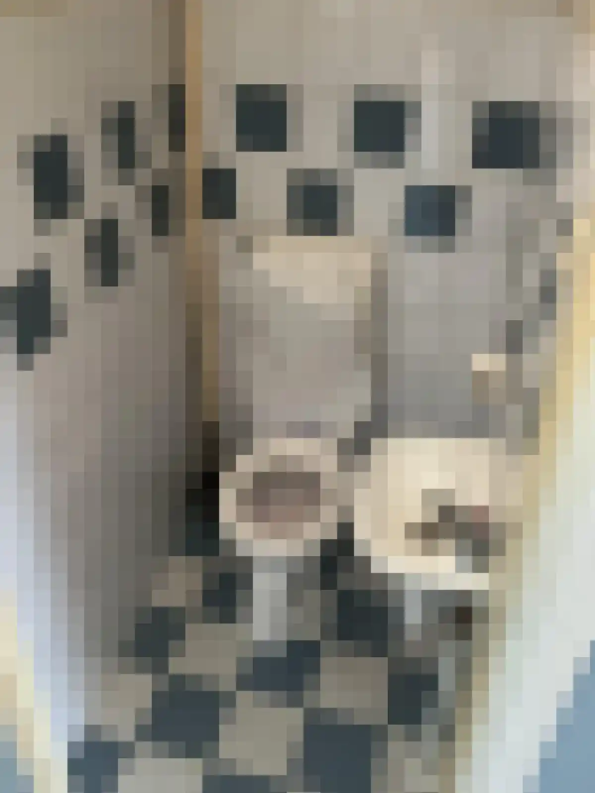 Slobbegors 2 Oud-Beijerland thumbnail 6