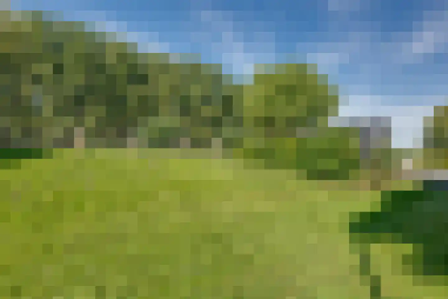 Slobbegorsedijk 15 Heijningen thumbnail 13