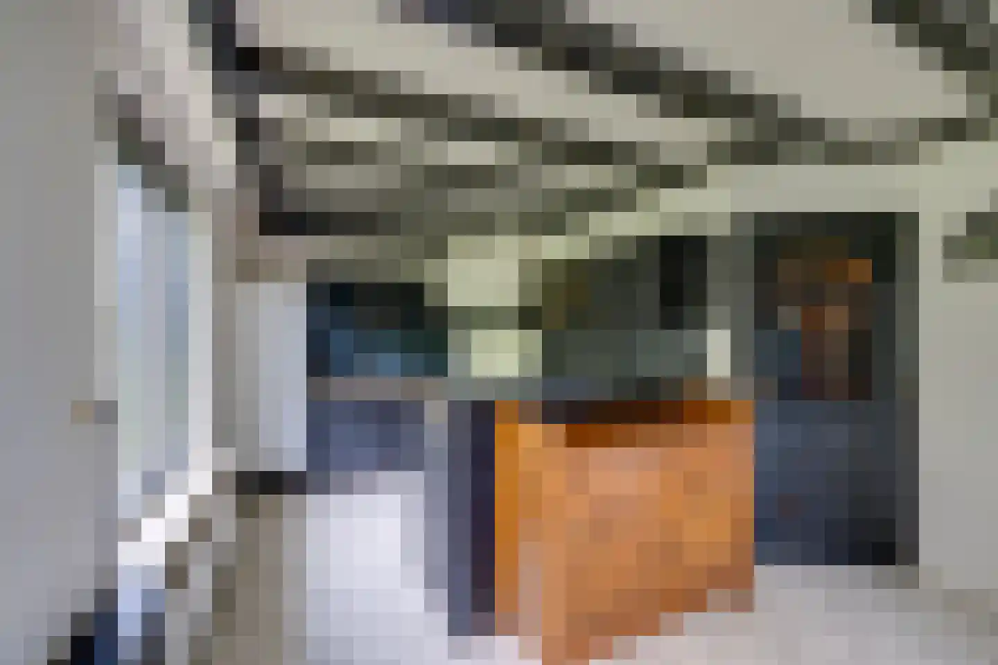 Slobbegorsedijk 15 Heijningen thumbnail 22